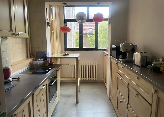 Spacious With 2 Bedrooms In Center, Near Parliament And St Marks Church * ベオグラード